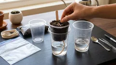 ピーマンの苗を2倍速く育てる方法：あまり知られていない上級者向けテクニック