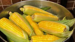 トウモロコシはどのように、どのくらいの時間茹でるのか――そして、柔らかく仕上げるために水に何を加えるべきか