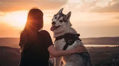 人間にとって最も忠実な友:犬は飼い主のことを忘れることがあるのか?