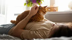 あなたのふわふわした小さな癒し屋：体調が悪い時、なぜ猫はあなたの元へやってくるのでしょうか？