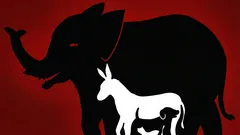 面白い錯視です：この絵の中に、10秒間で何匹の動物を見つけられますか？